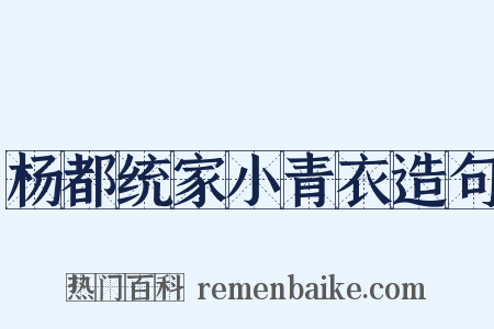 杨都统家小青衣造句是什么意思的图片